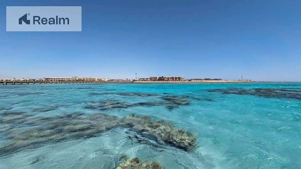 6 594054839_122110909209070504_6913017045155399138_n. jpg