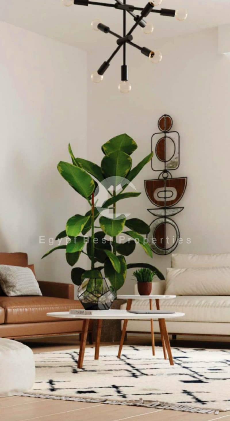 10 484906599_670701382157829_5179404720719174489_n. jpg