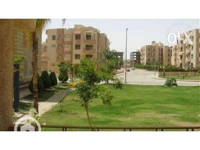 فلیٹ 3 غرف نوم للايجار في الشيخ زايد، الجيزة - _1_. jpg فلیٹ 3 غرف نوم للايجار في الشيخ زايد، الجيزة - _1_. jpg