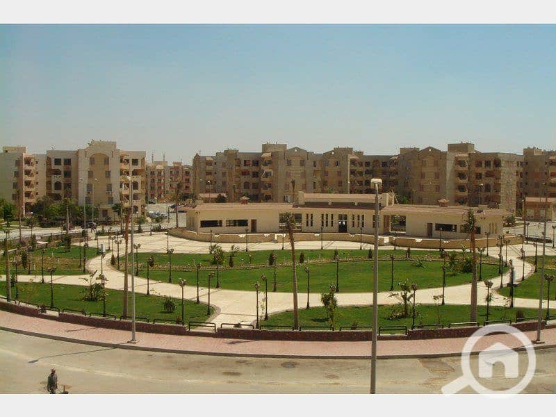 2 58f89c266600a - Copy - Copy - Copy. jpg