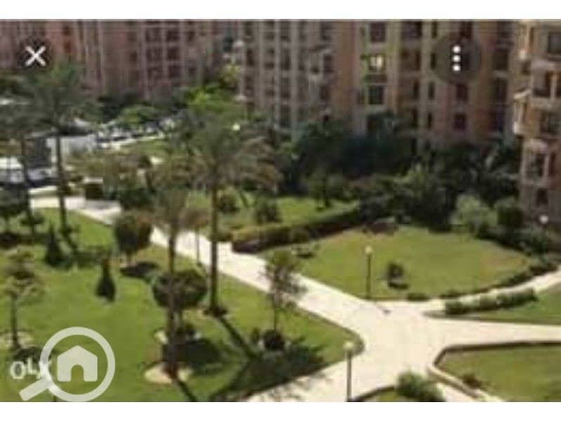 6 20398825-240x180. jpg