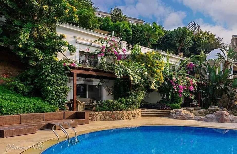 3 513970429_23866590493000530_2234820154070149407_n. jpg