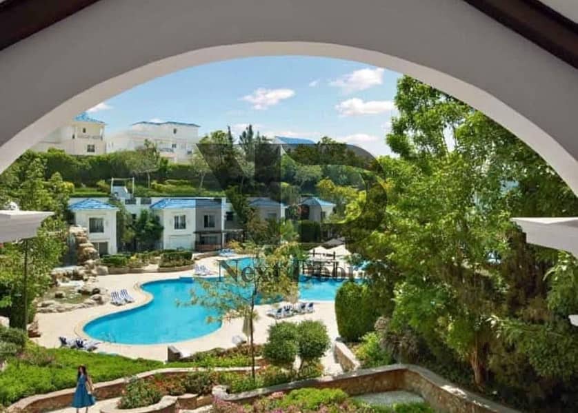 4 484949478_1351763729200353_2733502028327161744_n. jpg