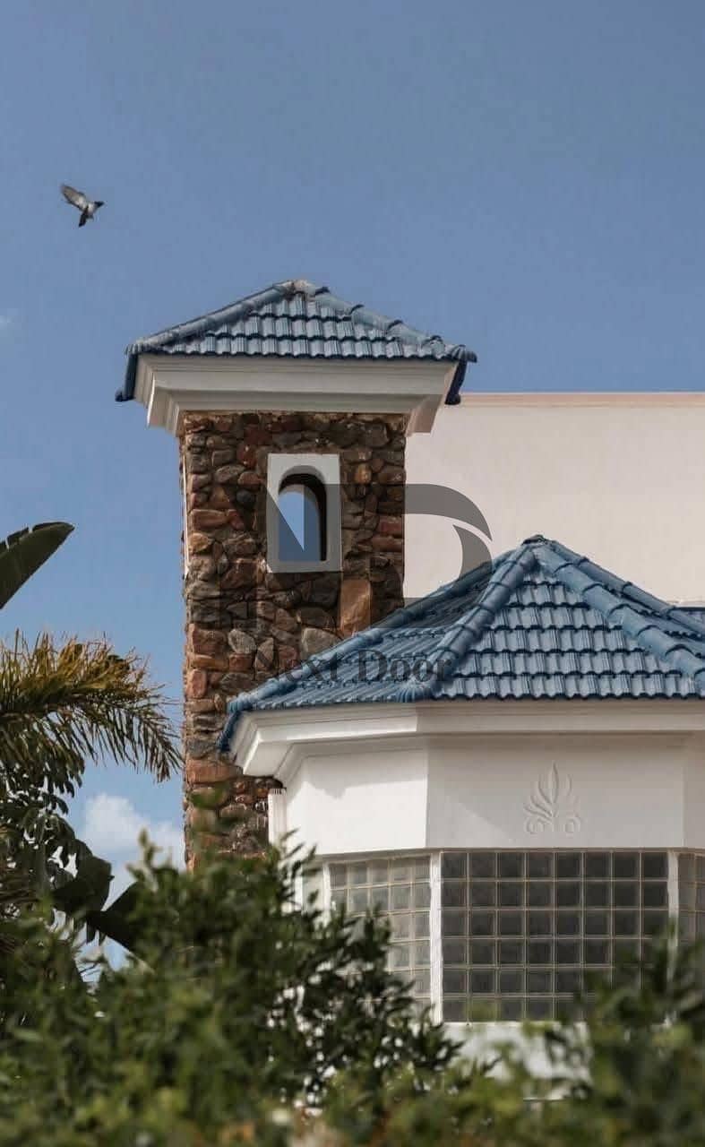 15 525645647_1426781971860544_8334785607201957434_n. jpg