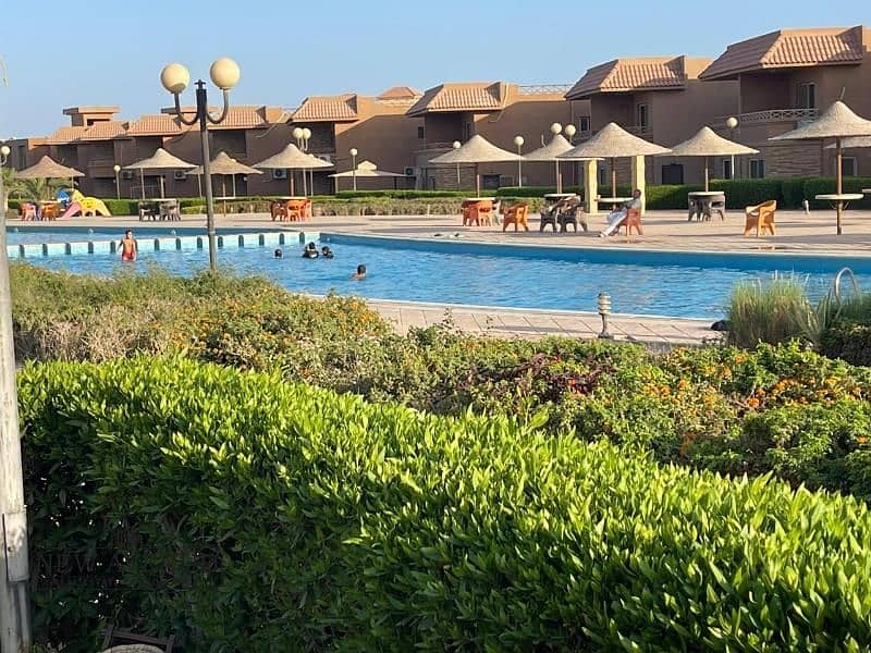 IMG-20251210-WA0031. jpg IMG-20251210-WA0031. jpg