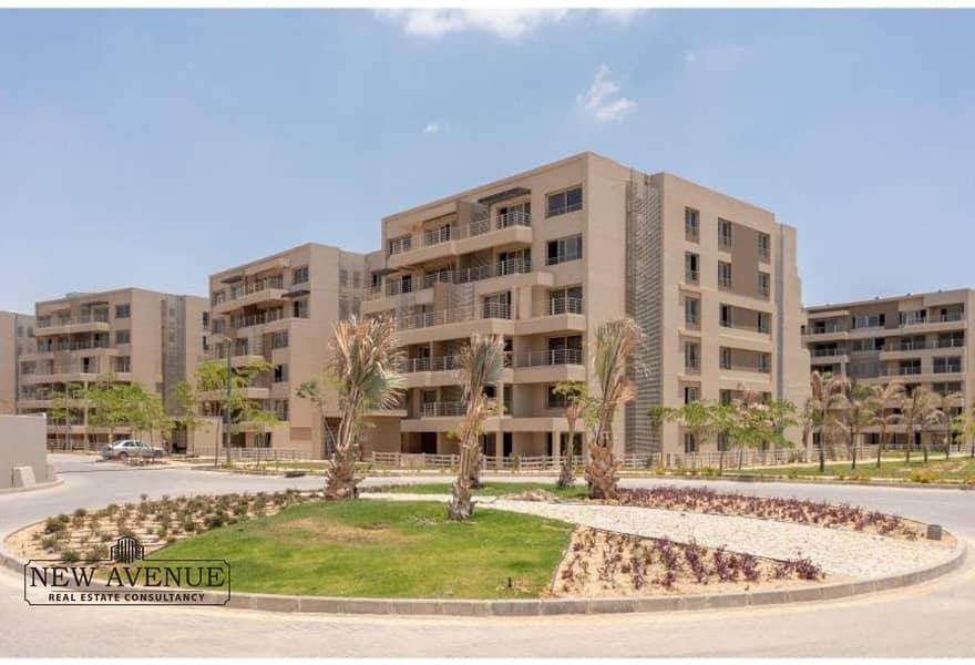 4 d034fbc9-f836-48c4-8526-db2595e1c677. jpg