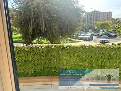 شقة 2 غرفة نوم للايجار في القاهرة الجديدة، القاهرة - WhatsApp Image 2025-12-11 at 02.51. 22. jpeg شقة 2 غرفة نوم للايجار في القاهرة الجديدة، القاهرة - WhatsApp Image 2025-12-11 at 02.51. 22. jpeg