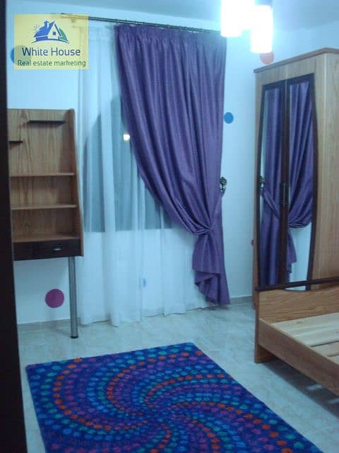 9 WhatsApp Image 2025-11-26 at 10.47. 57 AM - Copy. jpeg