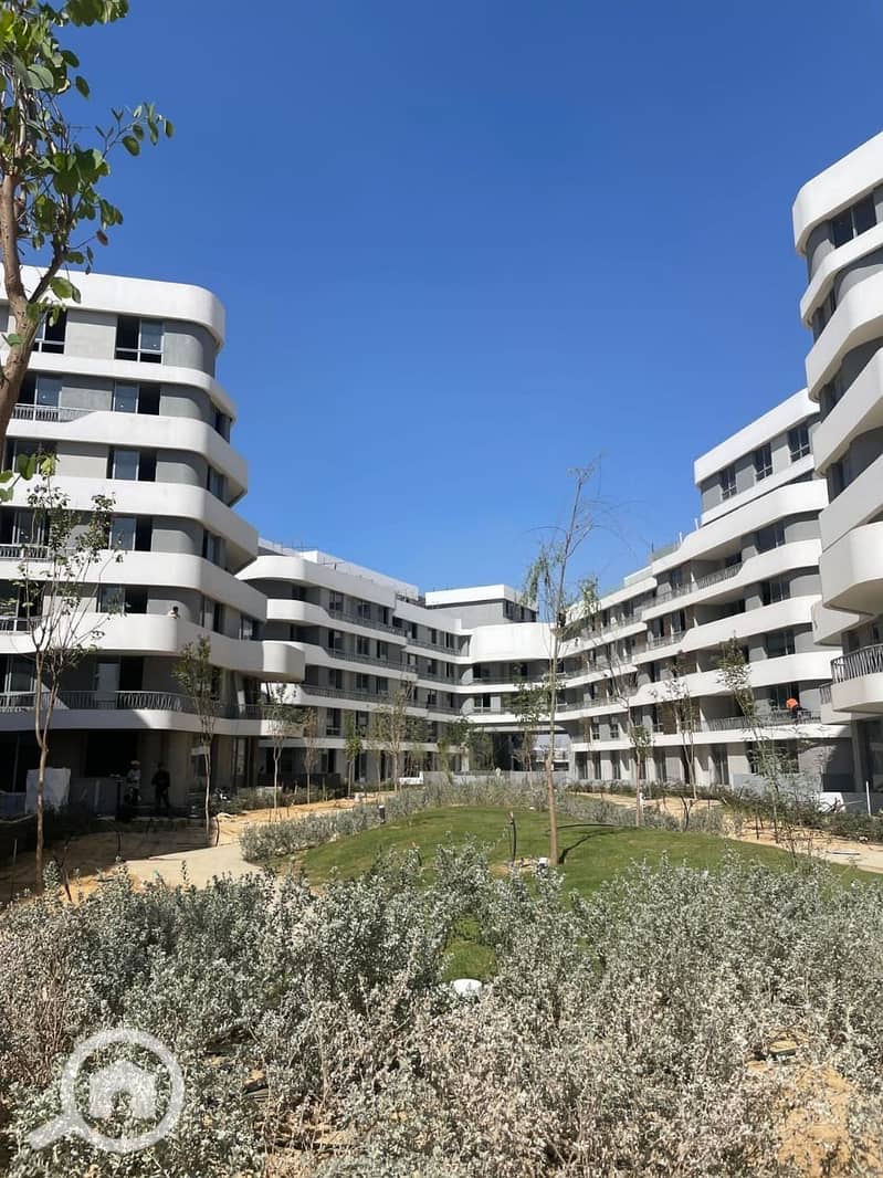 5 9289335e-9d48-4f20-ac66-c82318842418. jpg