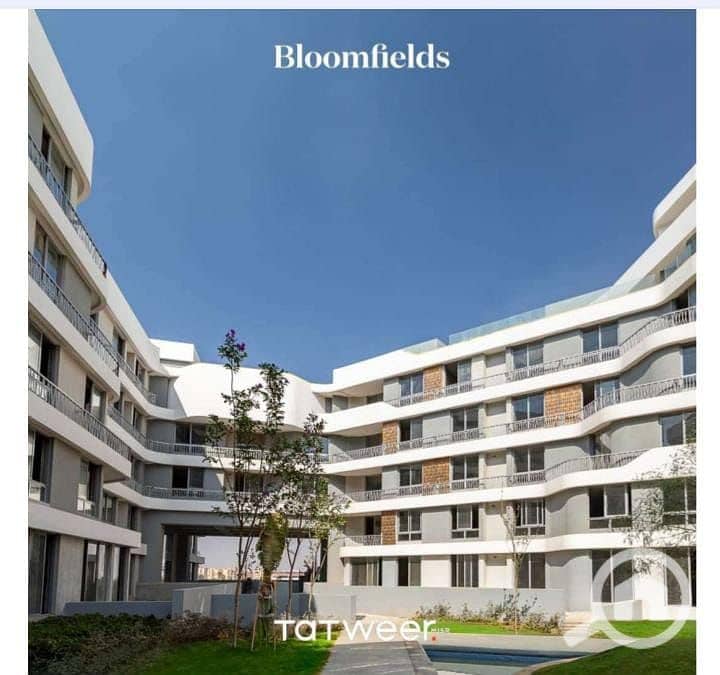 11 fb64c9ae-81ee-4c18-aeca-23d642a68d03. jpg