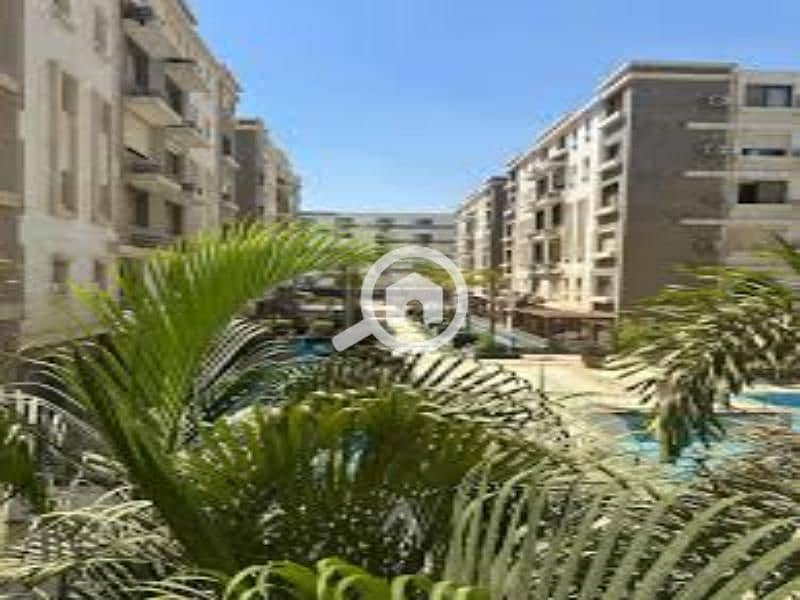 3 images (2). jfif. jpg