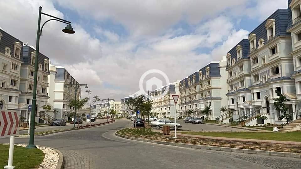 10 101420539_1639887239497545_1822717230601732096_n. jpg