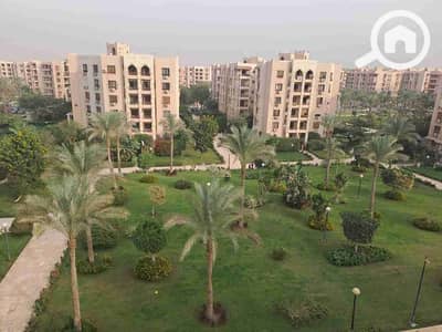 فلیٹ 2 غرفة نوم للايجار في القاهرة الجديدة، القاهرة - 1000535368. jpg فلیٹ 2 غرفة نوم للايجار في القاهرة الجديدة، القاهرة - 1000535368. jpg