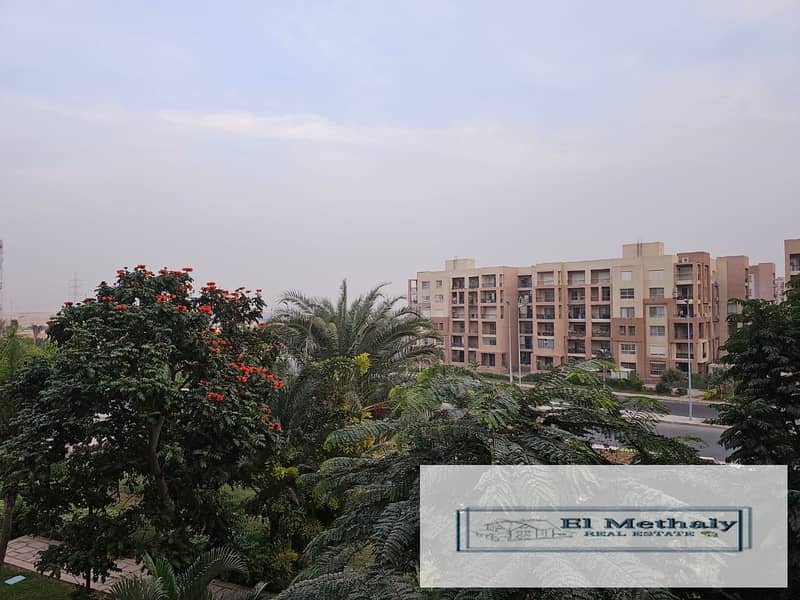 4 31ea169e-1e03-47b2-a52f-601b74c8b691. jpg