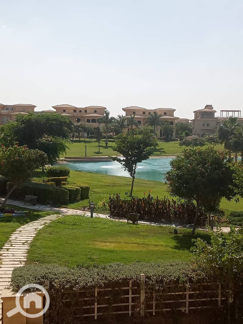 11 a1146494-9fed-4b4b-958d-6bf7396c5663. jpeg