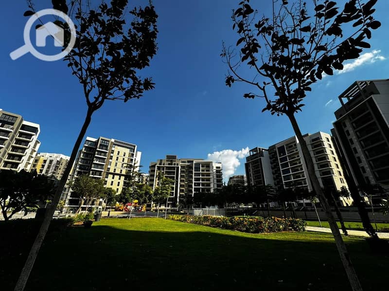 6 WhatsApp Image 2024-12-11 at 15.07. 36_fbcdd3e8. jpg