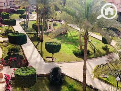 فلیٹ 3 غرف نوم للايجار في القاهرة الجديدة، القاهرة - 0176e35a-3ebf-45f8-a93d-bfe51bb88c3f. jpg