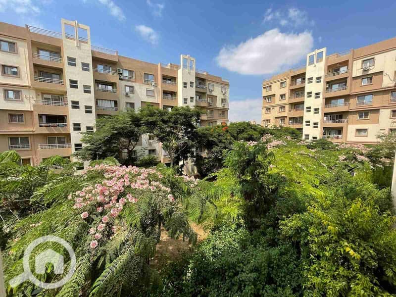 1000520918. jpg 1000520918. jpg