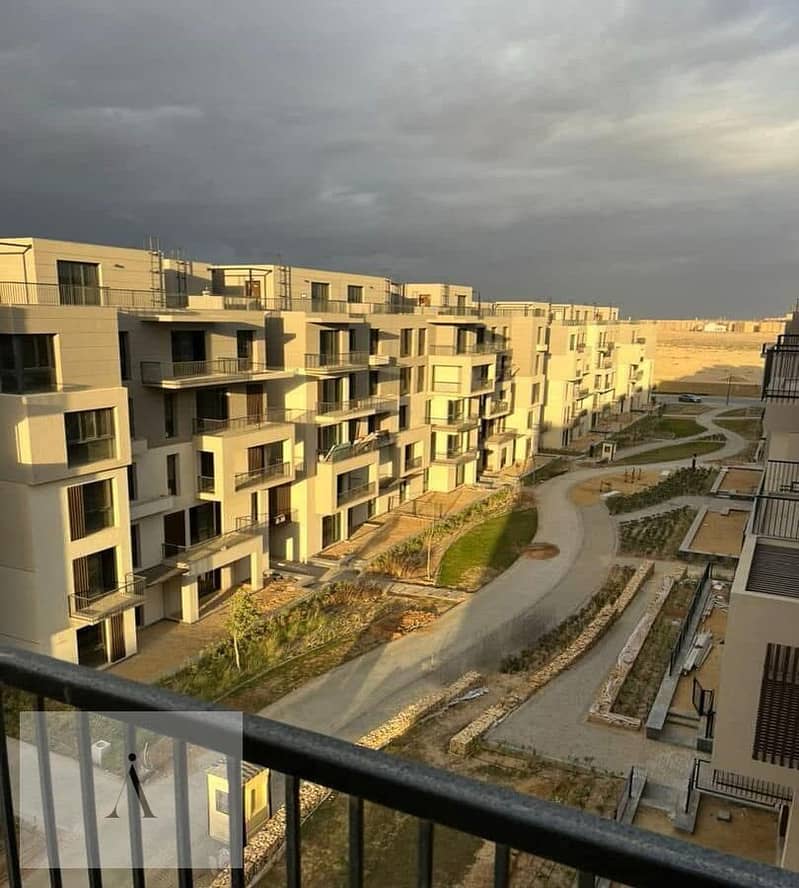 4 WhatsApp Image 2025-08-17 at 2.47. 34 PM (2). jpeg