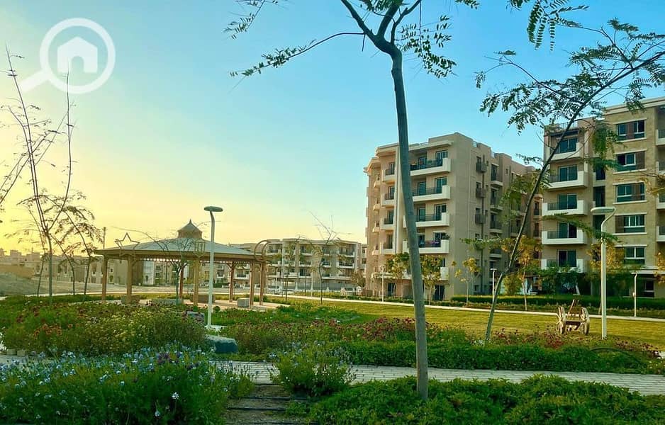 5 WhatsApp Image 2025-08-19 at 2.07. 55 PM (1). jpeg