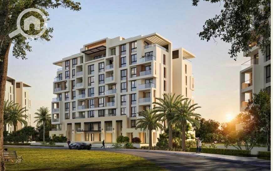 5 WhatsApp Image 2025-12-11 at 13.26. 44 (1). jpeg