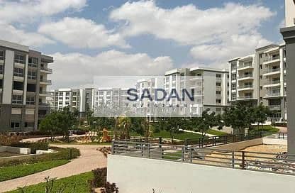 7 4104435a-d734-4cd5-aab7-2f4621df8e14. jpeg