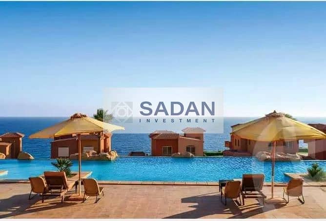 4 97bf6911-e067-49df-b156-5df50dc8292f. jpg