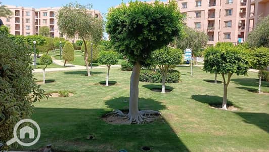 شقة 2 غرفة نوم للايجار في القاهرة الجديدة، القاهرة - 520819112_1203928401505766_8140176446751392254_n. jpg