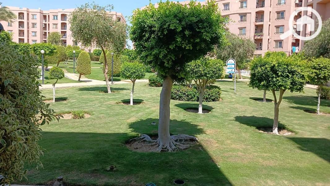 10 520819112_1203928401505766_8140176446751392254_n. jpg