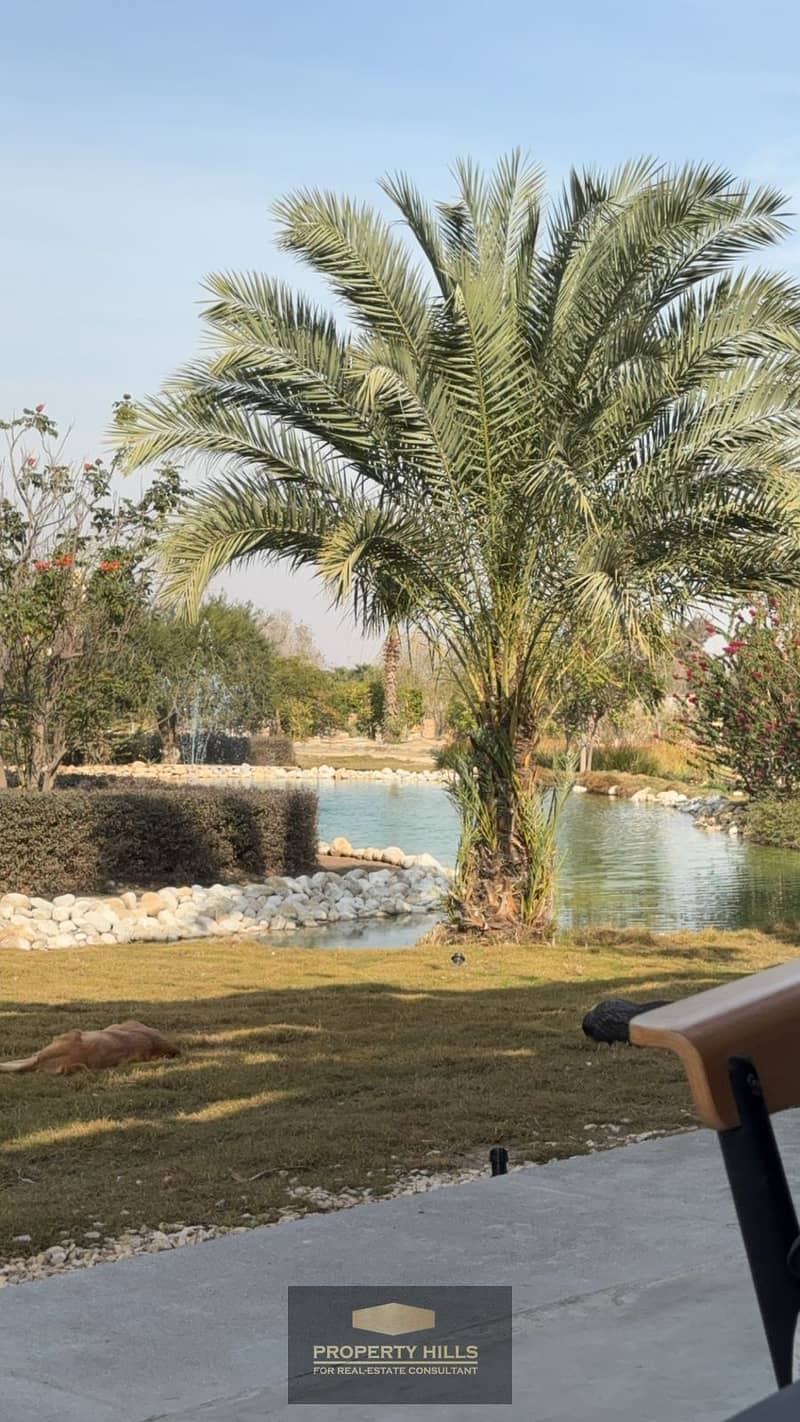 6 54289e2b-eb57-49b1-afc7-2fe7b472058f. jpg