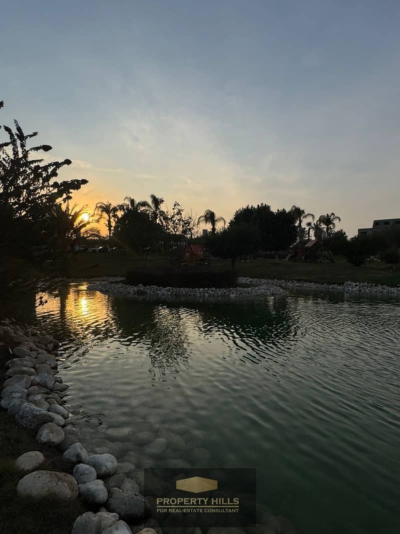 7 a0856959-fa12-4616-a31d-fdc2af4e16bc. jpg