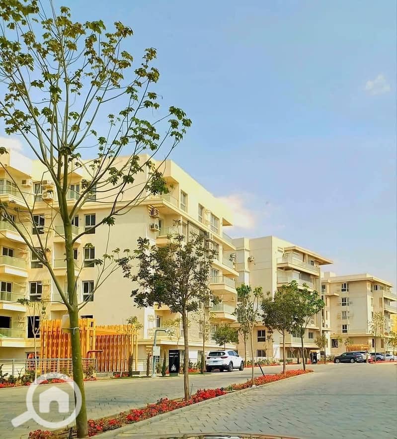 11 WhatsApp Image 2025-07-06 at 10.51. 54_7c1b9b5c. jpg