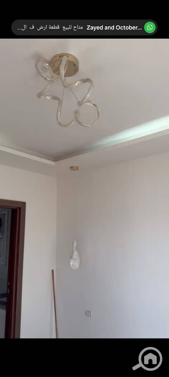 6 907392a5-a96f-4a19-9eb6-9e6a2c87c183. jpg