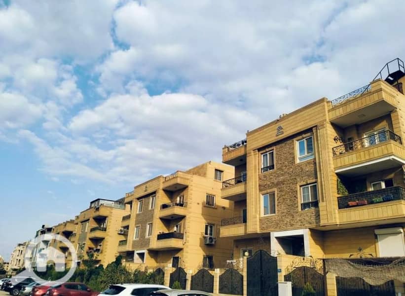 11 25911ed7-a818-4e66-9a7c-37e6a2e4904e. jpg