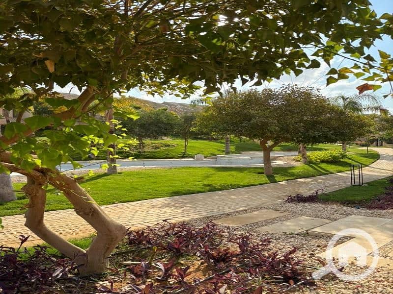 5 WhatsApp Image 2025-10-31 at 2.03. 51 AM (1). jpg