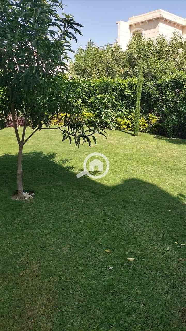 14 636e456f-e7cd-492e-8d46-e4b829d196b9. jpg