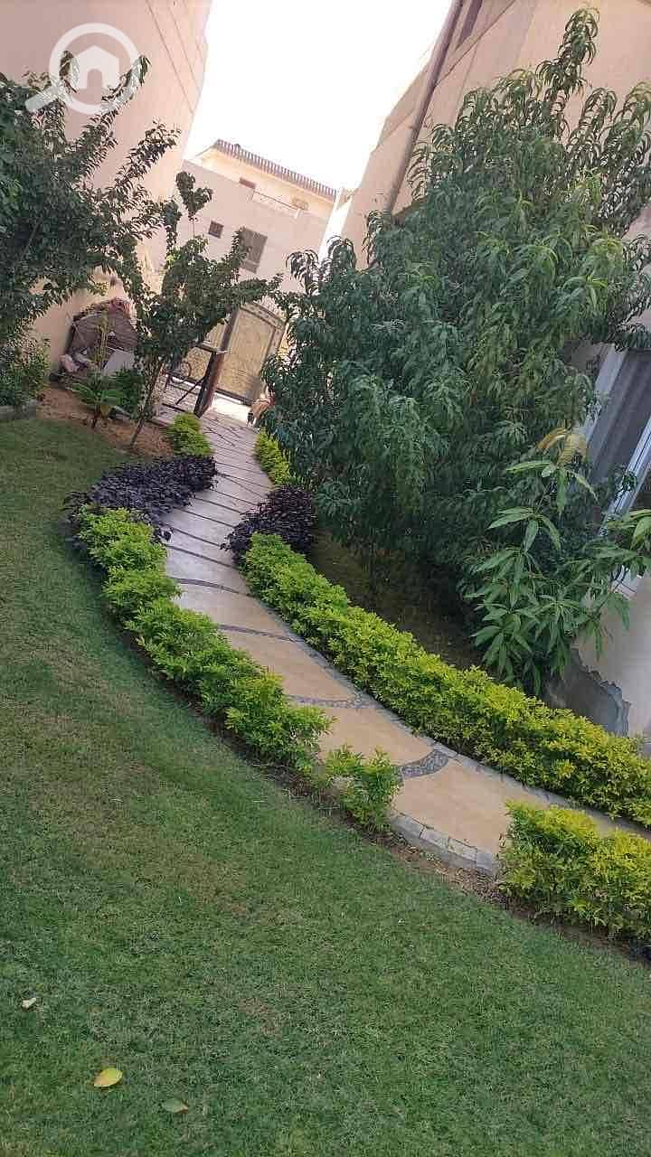 15 38ec20fe-f9ff-4628-aac5-92e6bbfbb43c. jpg