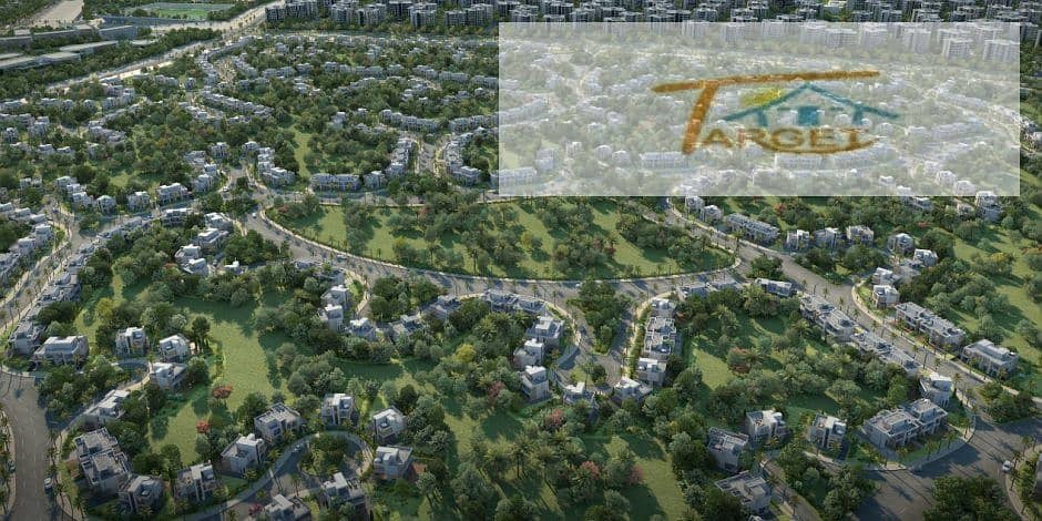 8 202207040239253925. jpg