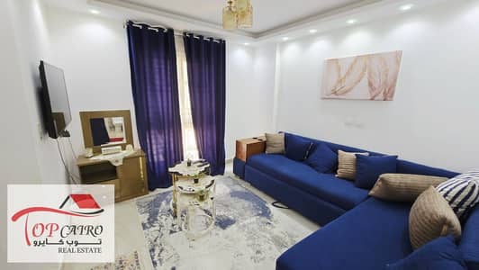 استوديو  للايجار في مدينتي، القاهرة - IMG-20251209-WA0180. jpg