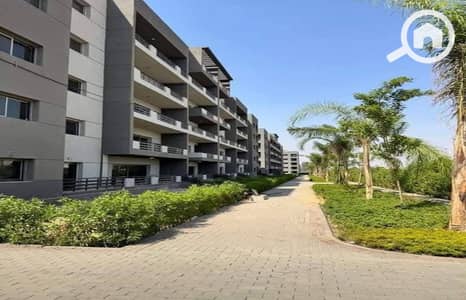 3 Bedroom Apartment for Sale in Sheraton, Cairo - WhatsApp Image 2025-12-11 at 1.47. 57 PM (1). jpeg