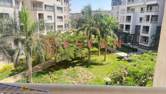 3 Bedroom Flat for Rent in Madinaty, Cairo - IMG-20240922-WA0366. jpg