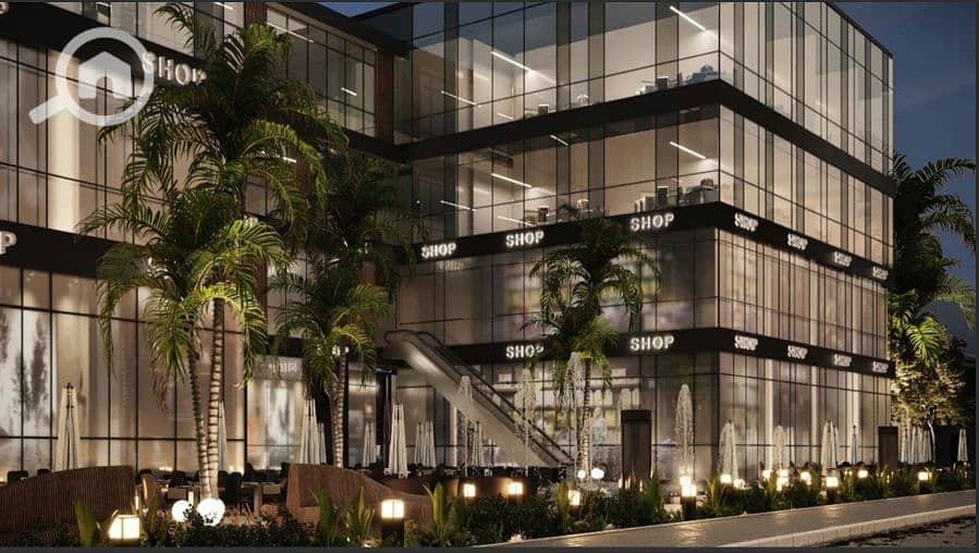 5 Screenshot_11-12-2025_142136_. jpeg