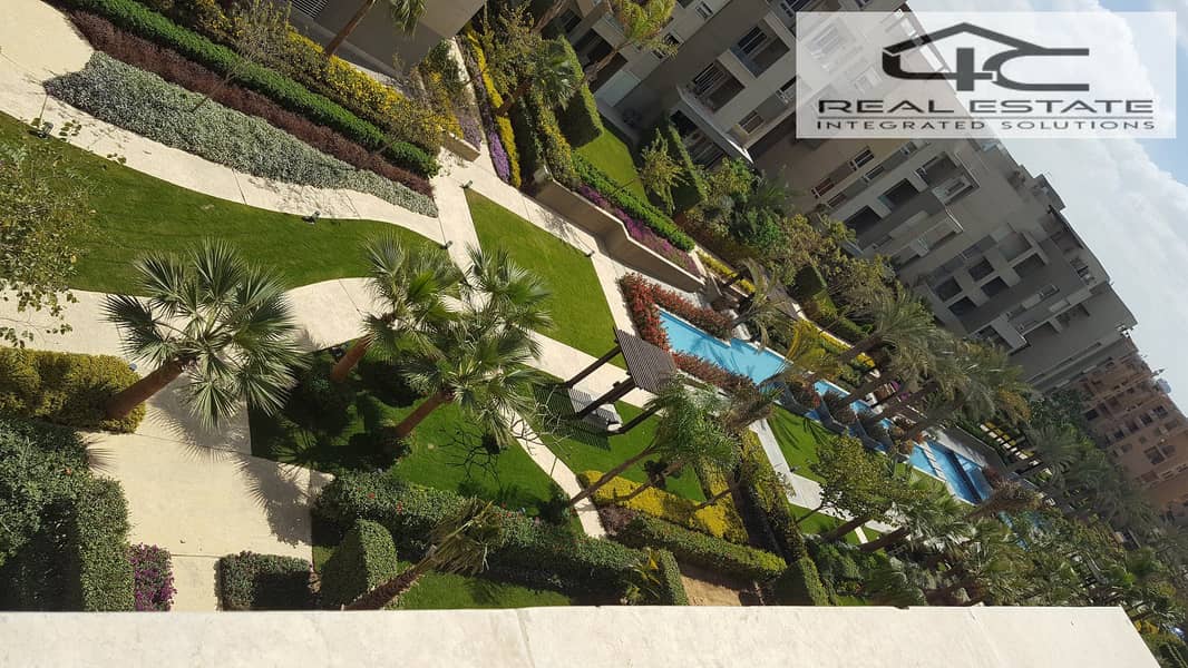 3 56157865_2303676203240069_2511533824857341952_n. jpg