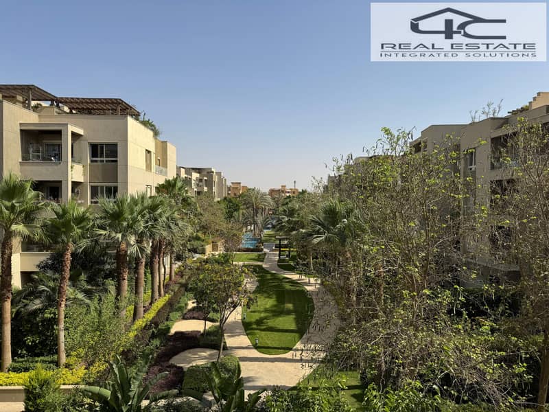 5 WhatsApp_Image_2025-10-14_at_18.56. 05_4b571f93__1_. jpg