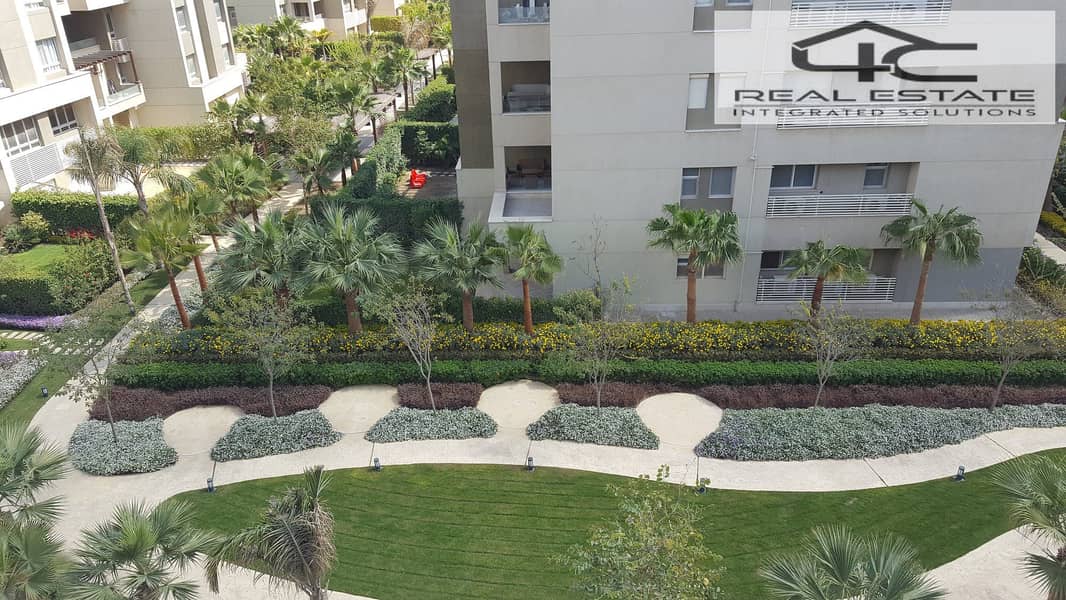 8 55929413_2303676153240074_4491803375137980416_n. jpg