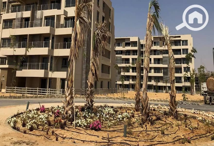 12 287766625_4866117153511776_3506312400409091071_n. jpg