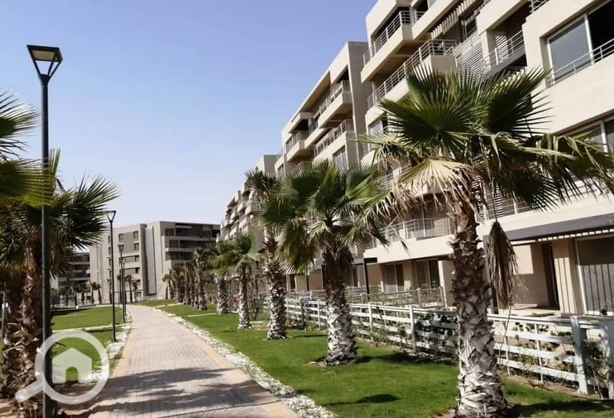 13 287769593_4866117120178446_2713307480519348311_n. jpg