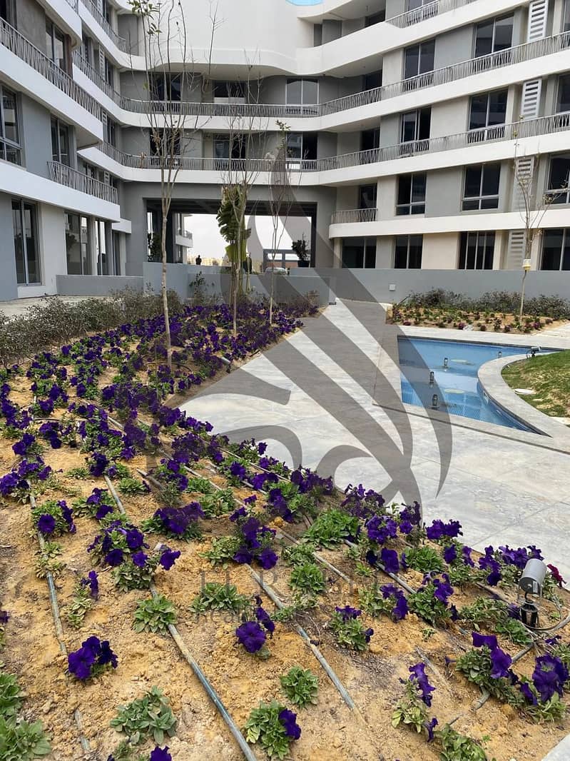 20 WhatsApp Image 2025-11-20 at 16.14. 13_528b3bee. jpg