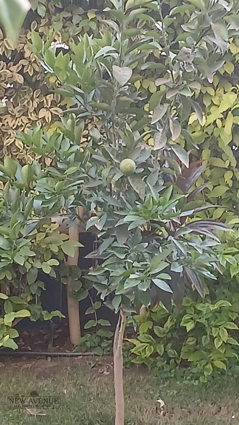 9 WhatsApp Image 2025-12-02 at 2.15. 19 PM. jpeg