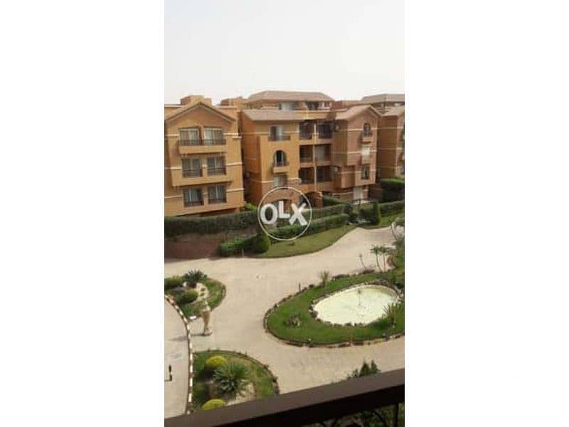 9 21121888-240x180. jpg